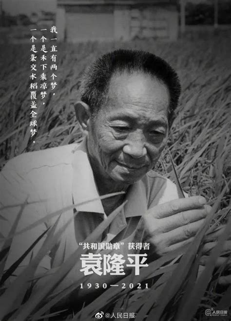袁隆平逝世：我们都在他的“稻穗下乘凉”_凤凰网