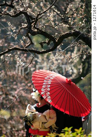 赤い和傘と和服の二人の写真素材 [1271614] - PIXTA