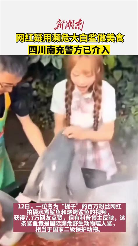 某百万粉丝网红疑似食用保护动物“噬人鲨”，当地警方已介入调查-直播吧zhibo8.cc