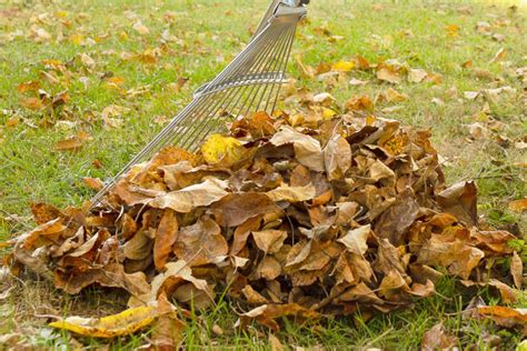 秋天打扫落叶的女青年元素素材下载-正版素材401597518-摄图网