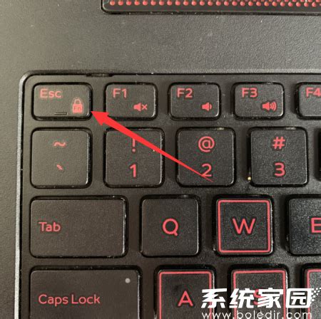 笔记本小键盘怎么关 如何关闭笔记本小键盘 - 系统之家重装系统