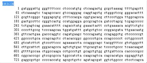 DNA序列查询——NCBI良心教程，寻找基因转录本序列及相关编码蛋白_化工仪器网