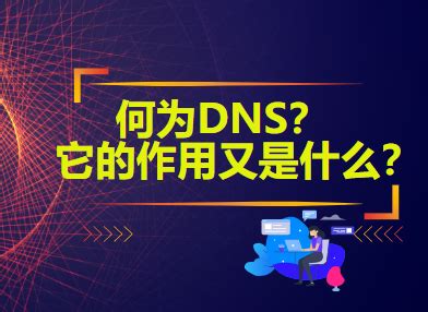 DNS的特点和作用是什么 - web开发 - 亿速云