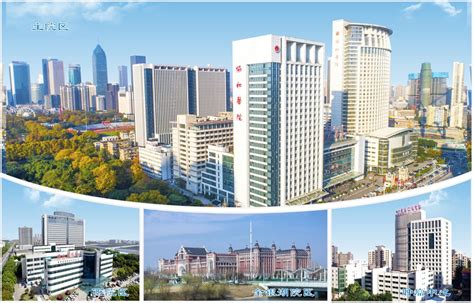 2022同济大学附属上海市肺科医院-院史陈列馆游玩攻略,医院内部绿化面积比较大，靠...【去哪儿攻略】