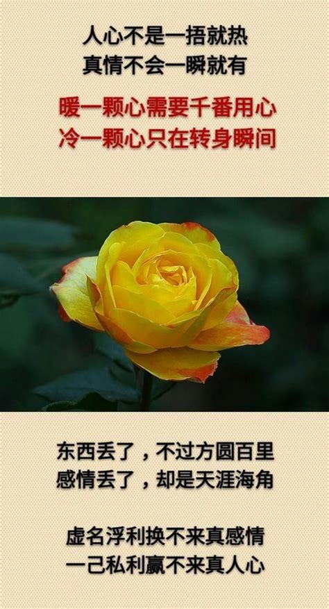 感慨的图片