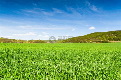 阳光明媚的夏日美丽的绿色田野景观高清图片下载-正版图片507220798-摄图网