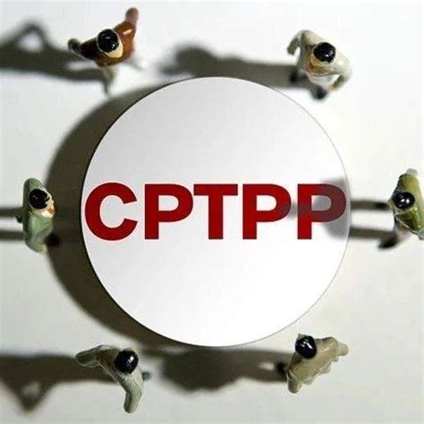 关注丨中国正式提出申请加入CPTPP，有何重要意义？_协定