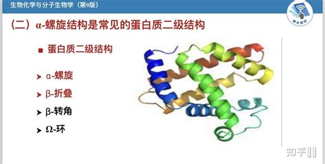 胶原蛋白结构与应用产品介绍 – 高分子网