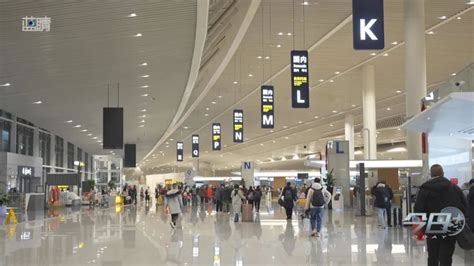 青岛机场单日最高旅客吞吐量达8.11万人次，创胶东国际机场启用以来最高纪录-青报网-青岛日报官网