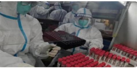 仪器培训：荧光实时定量PCR培训-中科环渤海（烟台）药物高等研究院