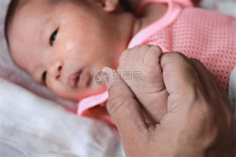 刚出生的小婴儿手和父亲高清图片下载-正版图片505602034-摄图网