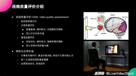 抖音账号如何优化视频内容吸引更多流量_漫品狗_MG动画短片素材_flash源文件_动漫矢量图免费素材网