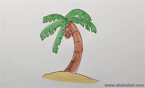 椰子树儿童画怎么画 椰子树简笔画带颜色好看 - 水彩迷