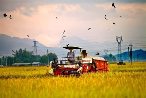“资源-要素-政策...中国农村研究网