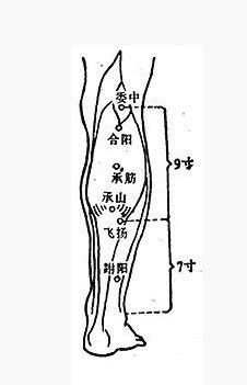 承山的准确位置图图片