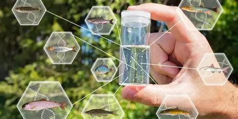 一瓶水中看世界：环境DNA帮助揭开海洋生态系统的秘密-《麻省理工科技评论》中文网