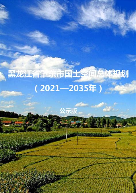 黑龙江省肇东市国土空间总体规划 （2021-2035年.pdf - 国土人