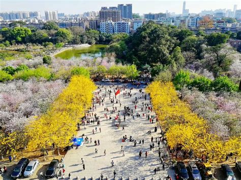 2024华南农业大学-树木园游玩攻略,还有很多叫不出名的树木花卉...【去哪儿攻略】