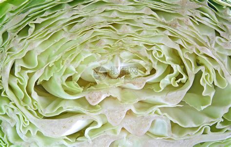 绿色秋葵炒菜木板蔬菜场景图美食摄影图片图片-包图网