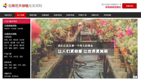 中国知名网站（中国访问量最大的十个网站） | 红五百科