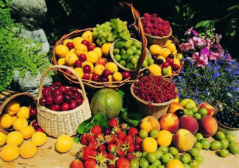 应时而变 水果批发市场2017变革回顾 | Page 4 | 国际果蔬报道
