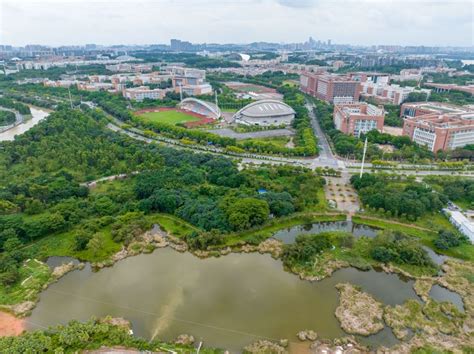 瞰大美番禺｜广州大学城藏着“绿宝藏”， 贝岗湿地绿意盎然