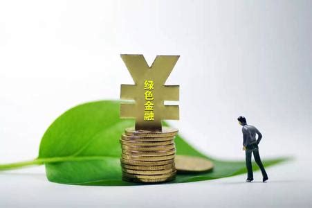 中国绿色金融何以“后来居上”？_贷款防骗_涨知识_武汉贷款_申贷网官网