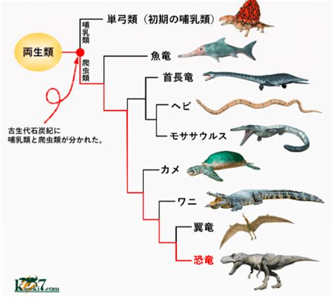 恐龙的进化史（恐龙的演化过程） – 碳资讯