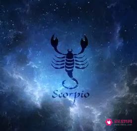 天蝎座头像图片
