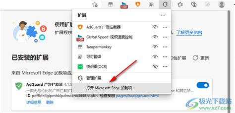 edge浏览器flash插件怎么安装？-Edge浏览器添加flash插件的方法 - 极光下载站