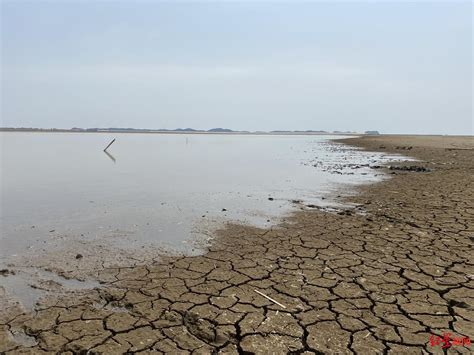 高温干旱终于让汉江水位见底了，一名男子在江底行走了1公里|高温|干旱|汉江_新浪新闻