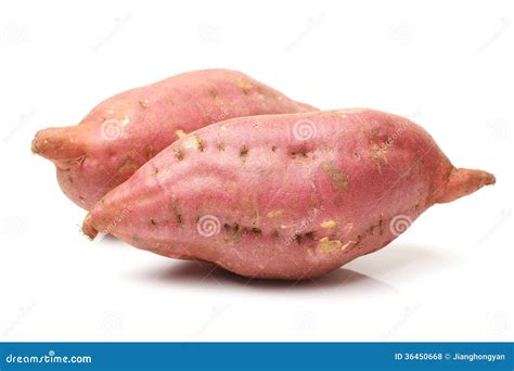Sweet potatoes stock photo. Image of vegetable, copy - 36450668