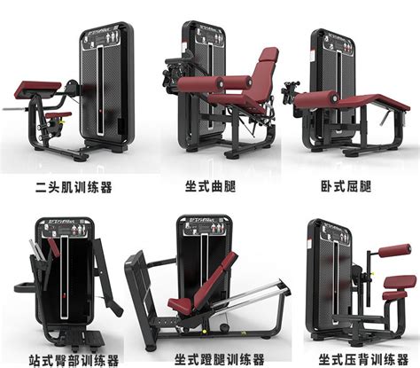 厂家直销 商用健身房 三头肌肉坐姿高拉训练器 坐式伸腿训练器-阿里巴巴