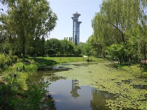 2019奥林匹克森林公园_旅游攻略_门票_地址_游记点评,北京旅游景点推荐 - 去哪儿攻略社区