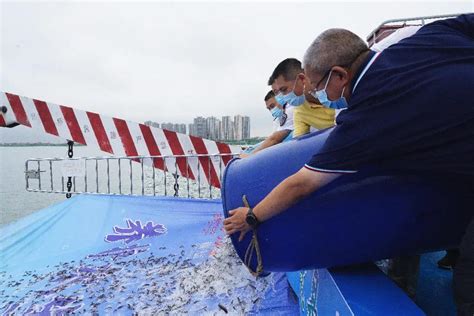 广东省（佛山）江河增殖放流活动在九江举行