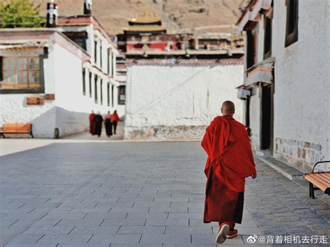 西藏自治区日喀则市白居寺航拍高清图片下载-正版图片501546838-摄图网