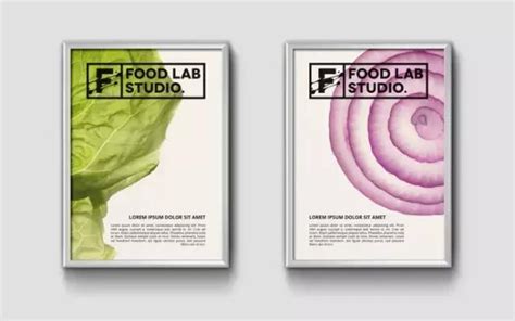 食品实验工作室(FOOD LAB STUDIO)品牌形象设计 - 郑州勤略品牌设计有限公司