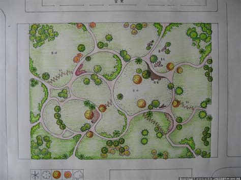 园林规划设计平面图学生作业的图片浏览,园林效果图,手绘效果,园林景观设计施工图纸资料下载_定鼎园林