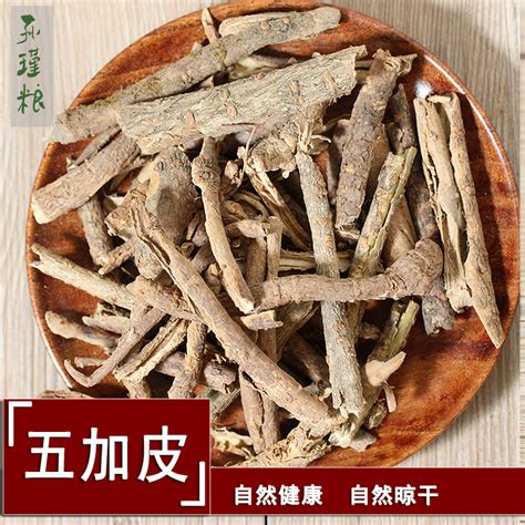 五加皮图片