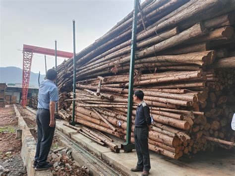 2017年07月木材市场出货量与价格变动分析【批木网】 - 木业头条 - 批木网
