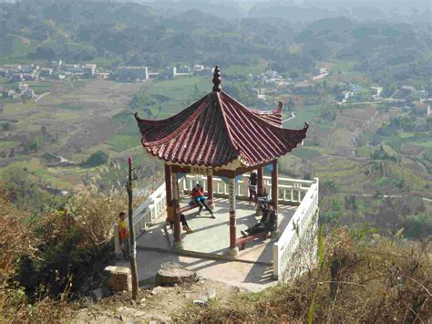 湖北走马镇：茶韵飘香吐芳华 文明浸润蕴乡土_农家书屋杂志