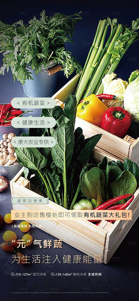 在意大利罗马农民市场上销售新鲜蔬菜的近拍镜头高清图片下载-正版图片503574069-摄图网