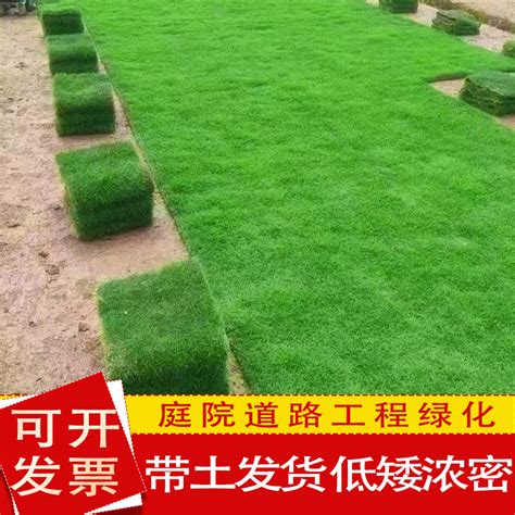 人造草坪景观休闲草高品质保证厂家直销用于室内铺装假草皮-阿里巴巴