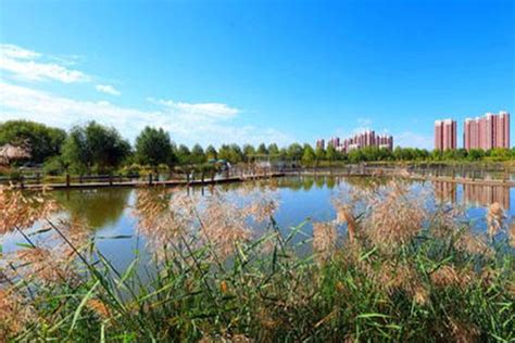 呼和浩特城中最大疏林草地——小草公园对外开放啦-内蒙古旅游-内蒙古新闻网