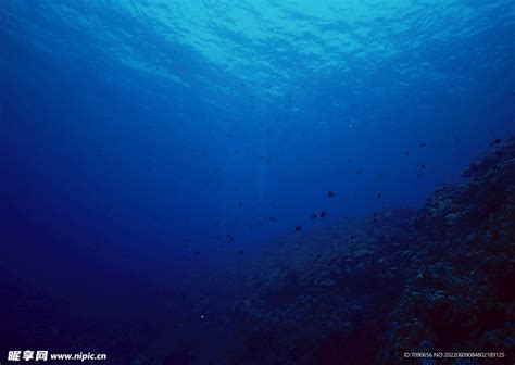 海底一万米深度，是否隐藏着一个未知世界?_腾讯视频
