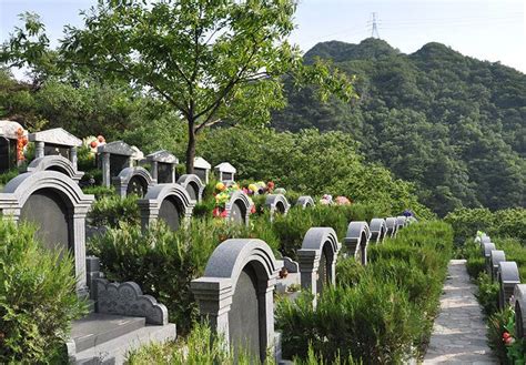 “上海天价墓地每平方米76万”引热议 相关部门：明码标价无欺诈就无权干涉-大河新闻