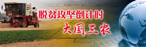 坚持农业农村优先发展——从一号文件看浙江实践-新闻中心-温州网