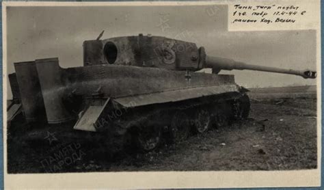 东线被击毁的虎式坦克背后 苏军这款大口径火炮立功_手机新浪网