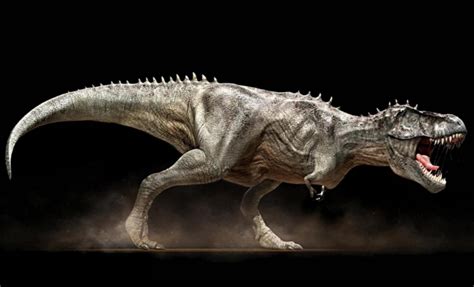 世界最大的十大恐龙 阿根廷龙位列榜首，高度达35米_排行榜123网