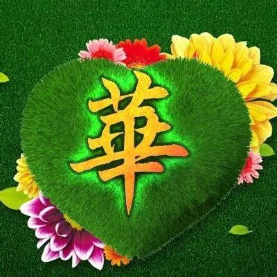 非主流姓氏头像华